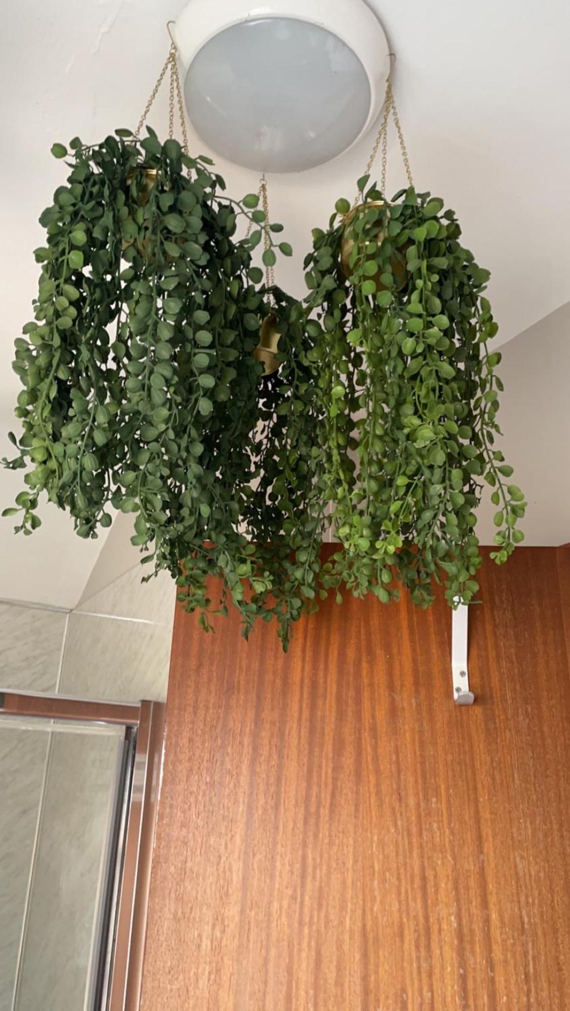 Lwr Ormeau Guest House Μπέλφαστ Εξωτερικό φωτογραφία